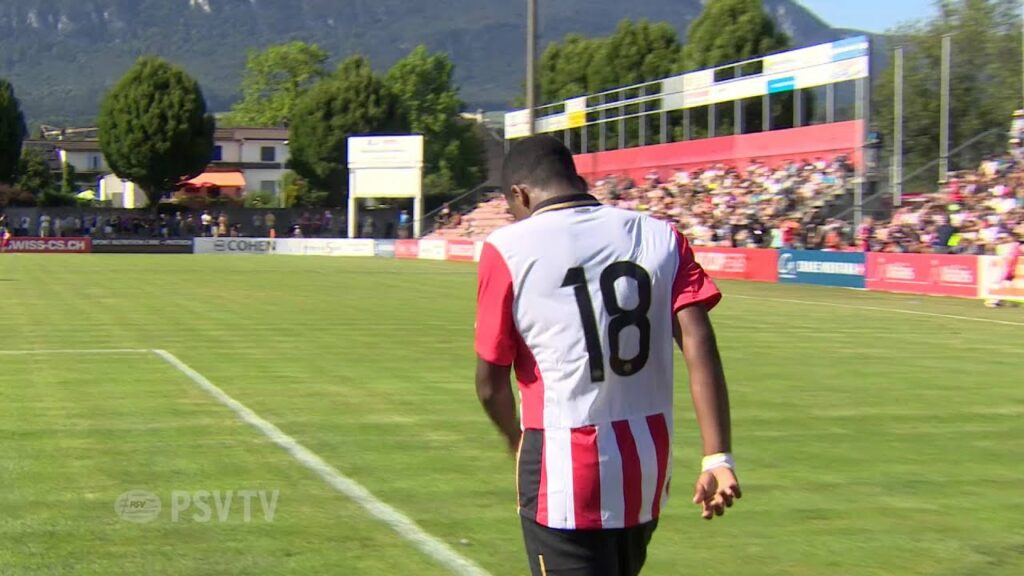 Het mooie jaar voor Steven Bergwijn