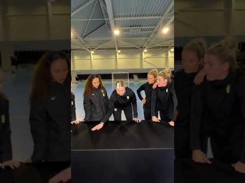 The Lionesses play the ping pong challenge 🏓 #shorts