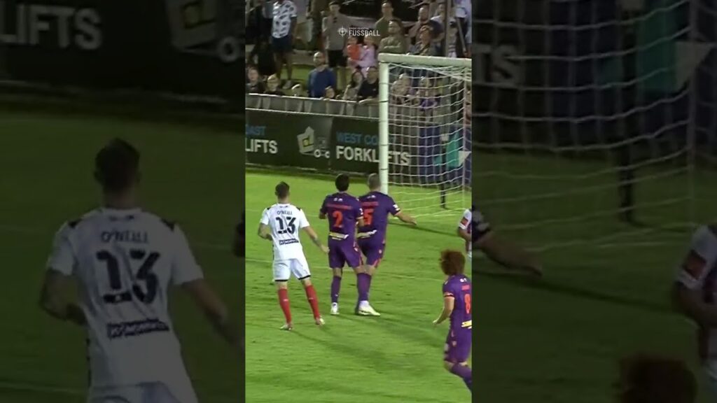 Fallrückzieher Leckie