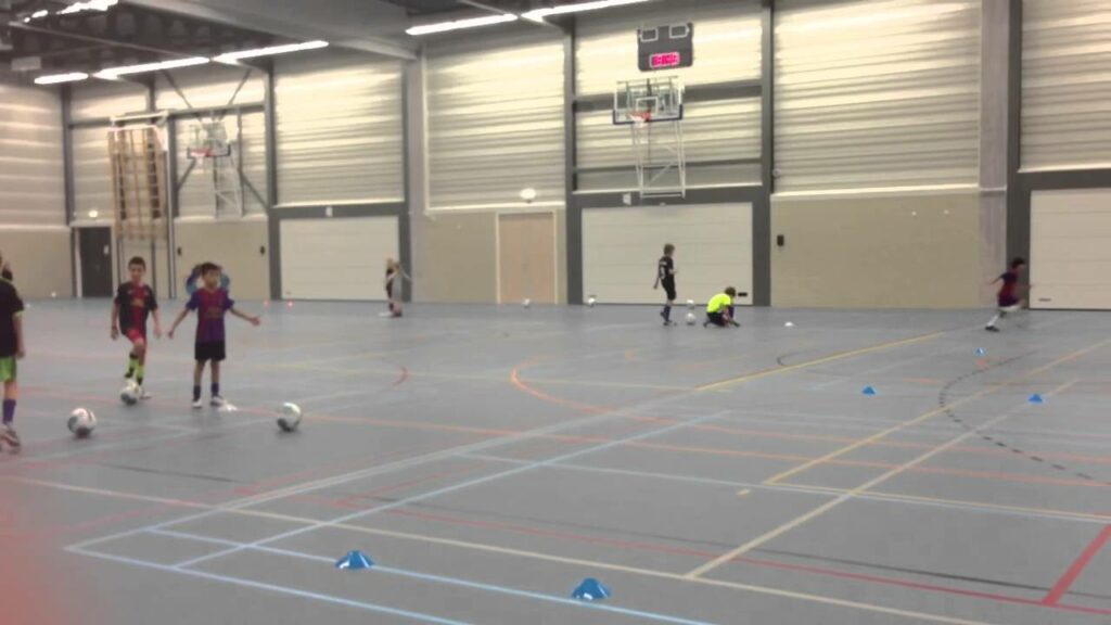 Ramin met zaaltraining