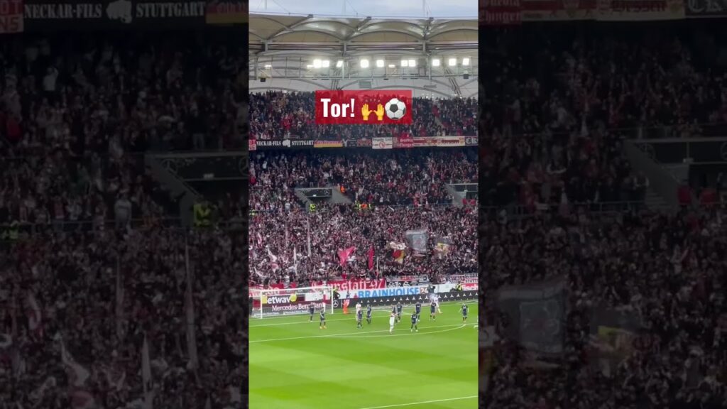 Freistoß-Tor Borna Sosa: VfB Stuttgart - 1.FC Köln 2:0 #vfbkoe #vfb #goal