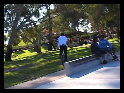 Liam Zingbergs - 10 clips