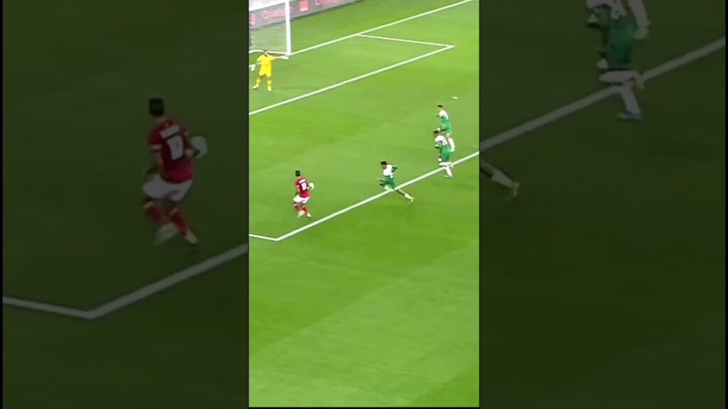 Sadness or joy which one to choose ? Badr Benoun made his choice obviously...