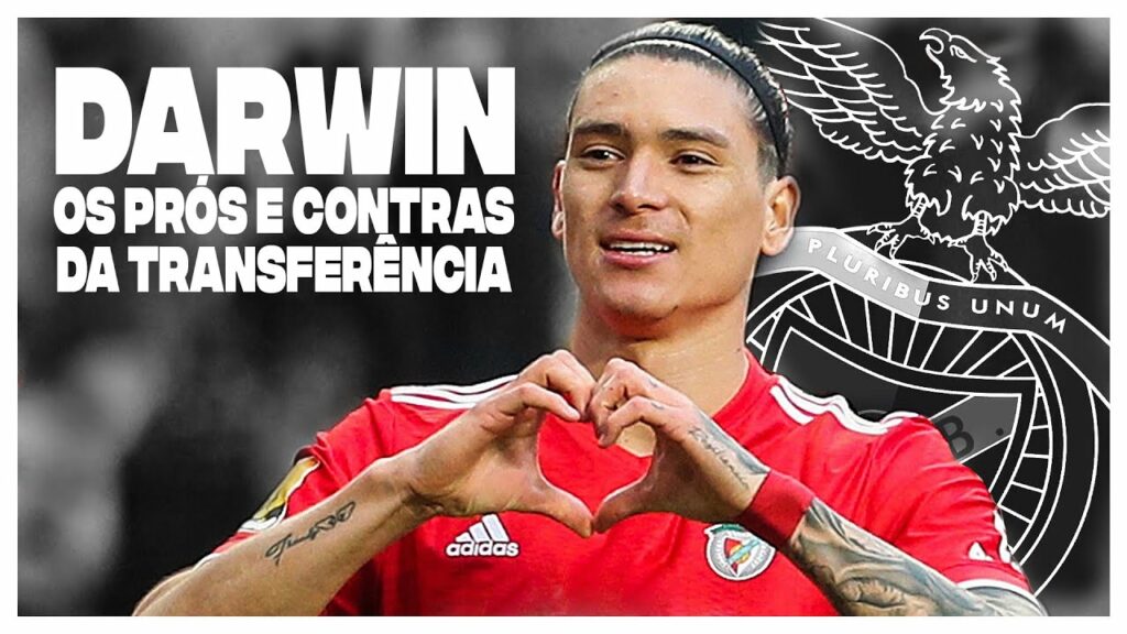 Darwin: Bom Negócio? ● Everton Cebolinha ● Gonçalo Ramos