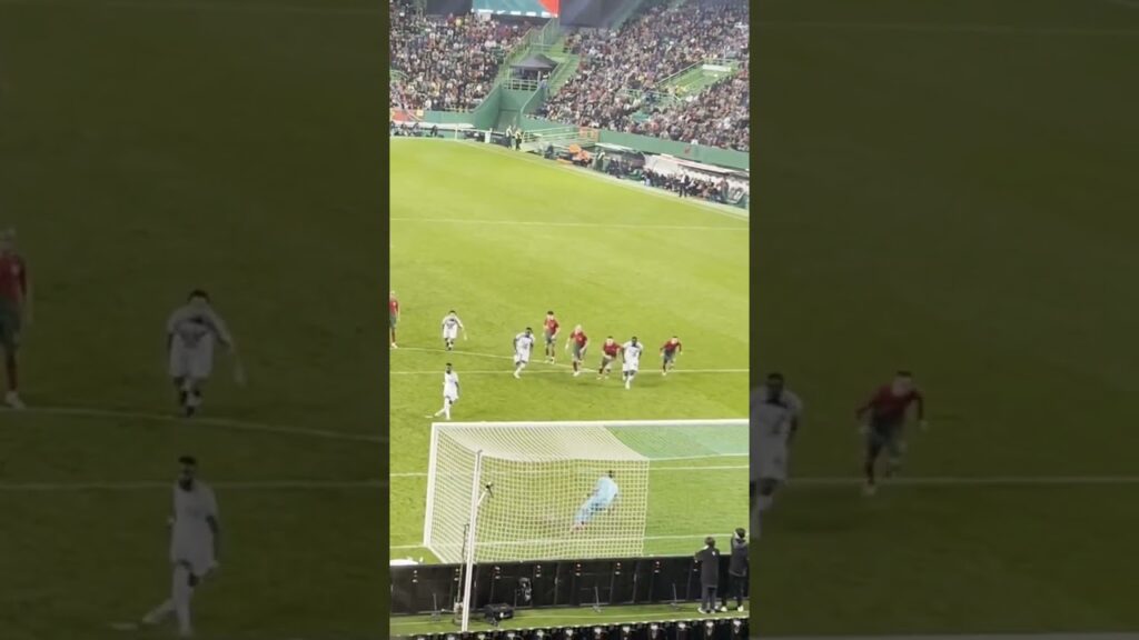Portugal 🇵🇹 Vs Nigeria 🇳🇬 Penalty Save By  R. Patrício #portugal #football #footballshorts