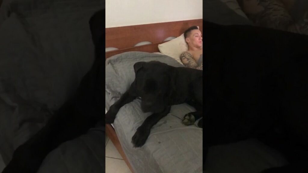 Matilde Rossi Miss Skorupski vuole il letto e il cane Dori scende!