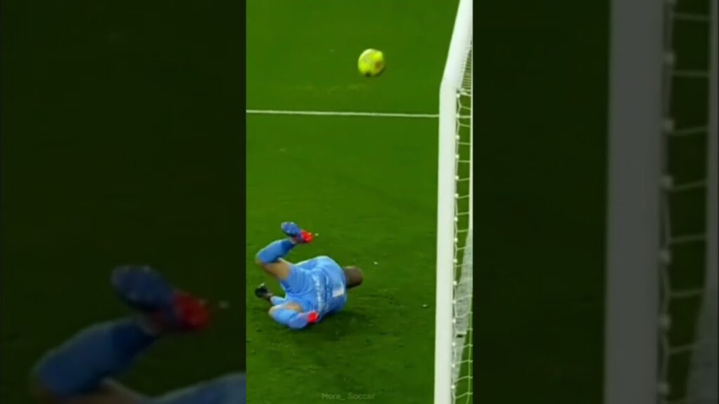 Good Saves Predrag Rajković 👍👍 #shorts #football