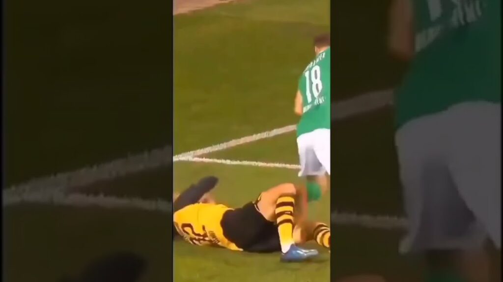 Erling Haaland 🤝 Gio Reyna