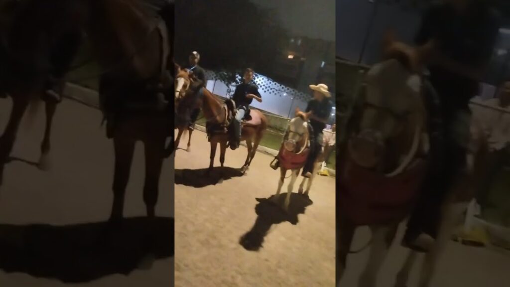 Categorías menores de José Luis Rodríguez apoyando exhibion lo Nuestro Folklore Merideño