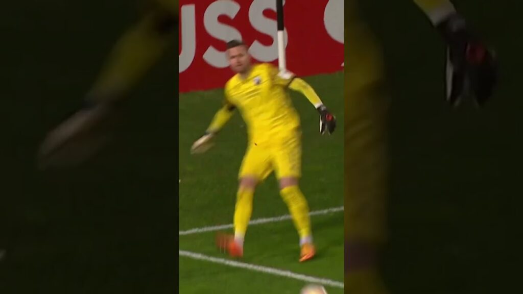 Dream goal by Nils PETERSEN 🤯💥