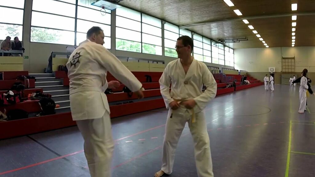 Taekwondo Lehrgang KIM Chul-Hwan & CHAE Seung-Eun 30./31. Mai 2015 - 1. Tag