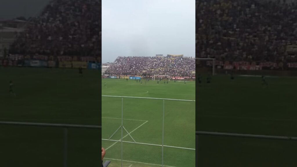 Delfín 0 Emelec 2 / Gol de Ayrton Preciado / Final 2017