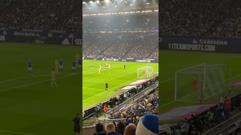 Schalke 04 vs. TSG Hoffenheim, Elfmeter zum 0:3 durch Skov