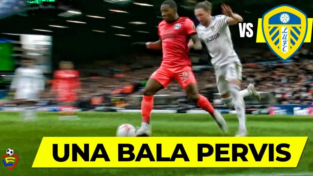 Pervis Estupiñán vs Leeds United: Resumen Individual, Partido Leeds United vs Brighton
