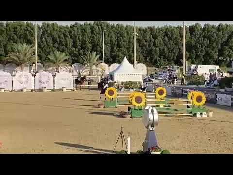 Mohammed Omran Al Owais & Belcanto Z at Sharjah CSI2* H.H Sharjah Ruler Cup