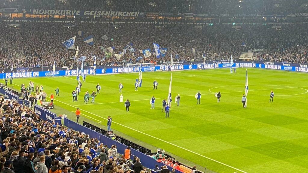 Schalke 04 vs. TSG Hoffenheim, Tor zum 0:1 durch Skov
