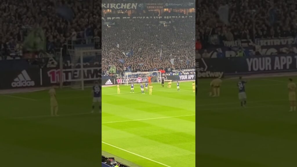 Schalke 04 vs. TSG Hoffenheim, Elfmeter zum 0:1 durch Skov