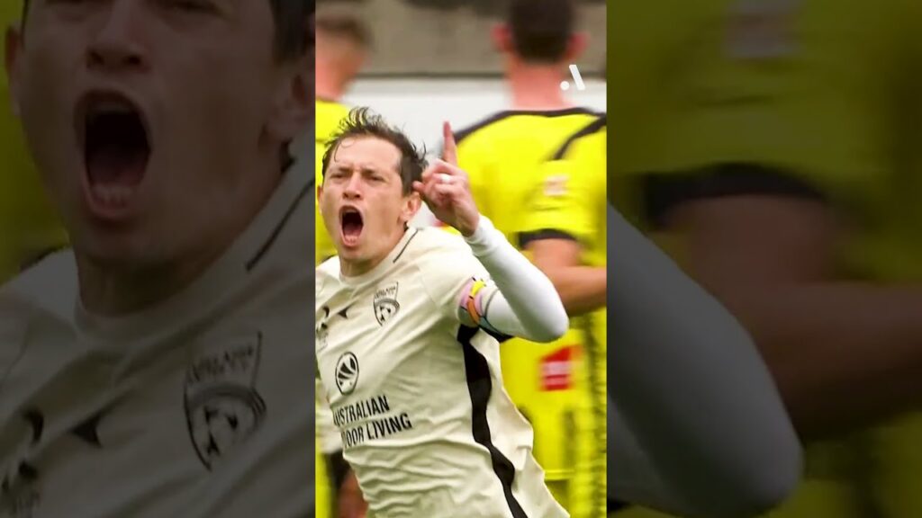 Watch this absolute rocket from Craig Goodwin!! 🔥🔥🔥🧨🧨🧨