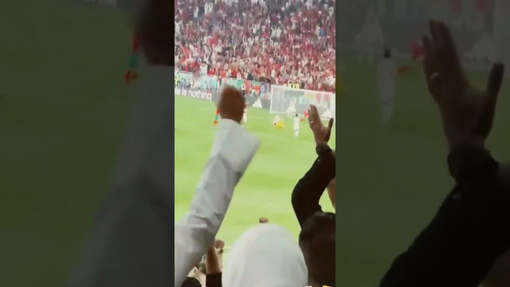الهدف الاول للمغرب ضد البرتغال #shorts