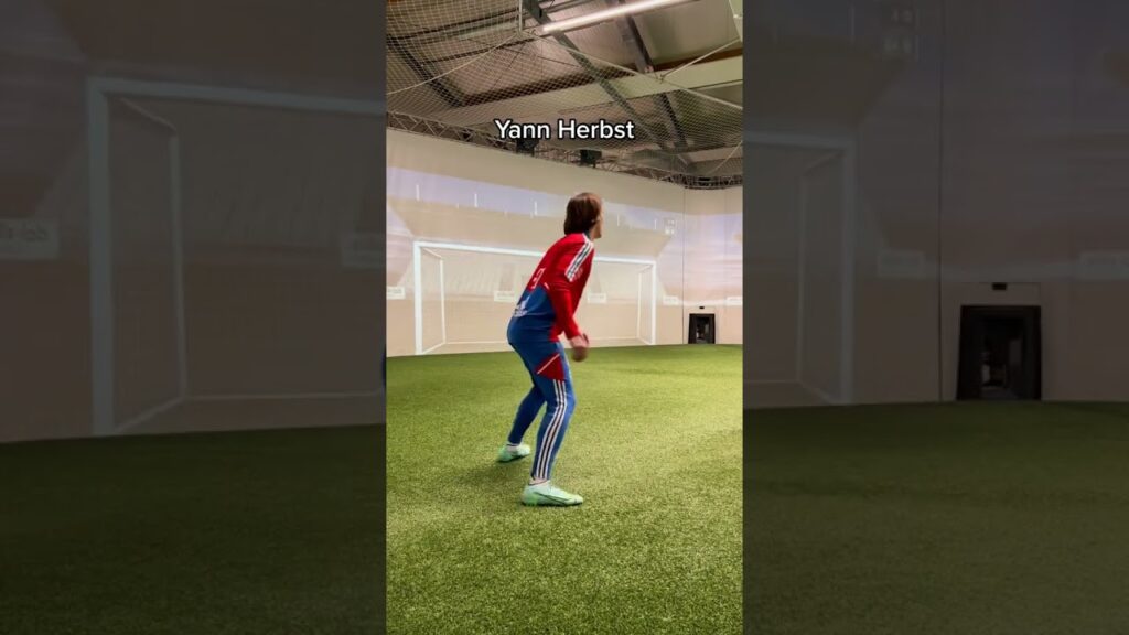 Yann Sommer & seine Cousins #shorts