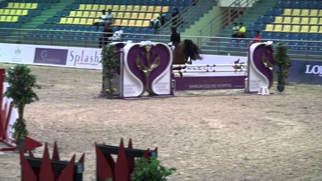 Chica with Rider Mohammed Omran al Owais.