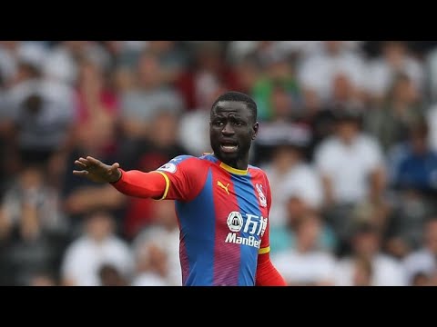 But de Cheikhou Kouyate vs Stoke City
