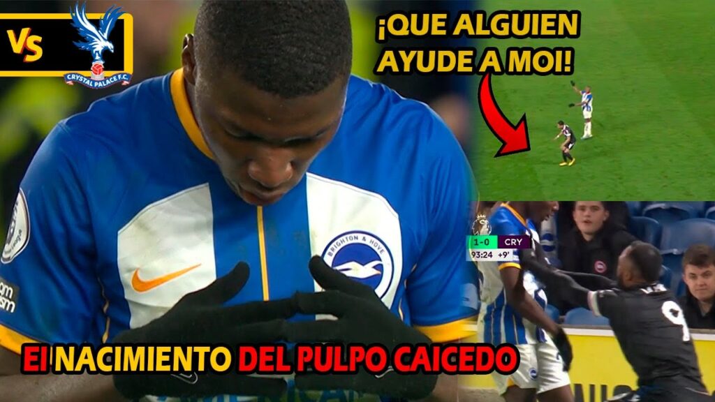El SHOW del Pulpo Caicedo