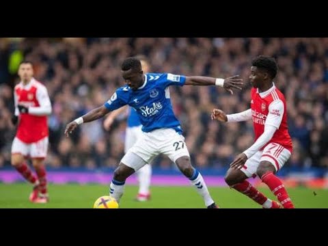 Idrissa Gana Gueye vs Arsenal | 1-0