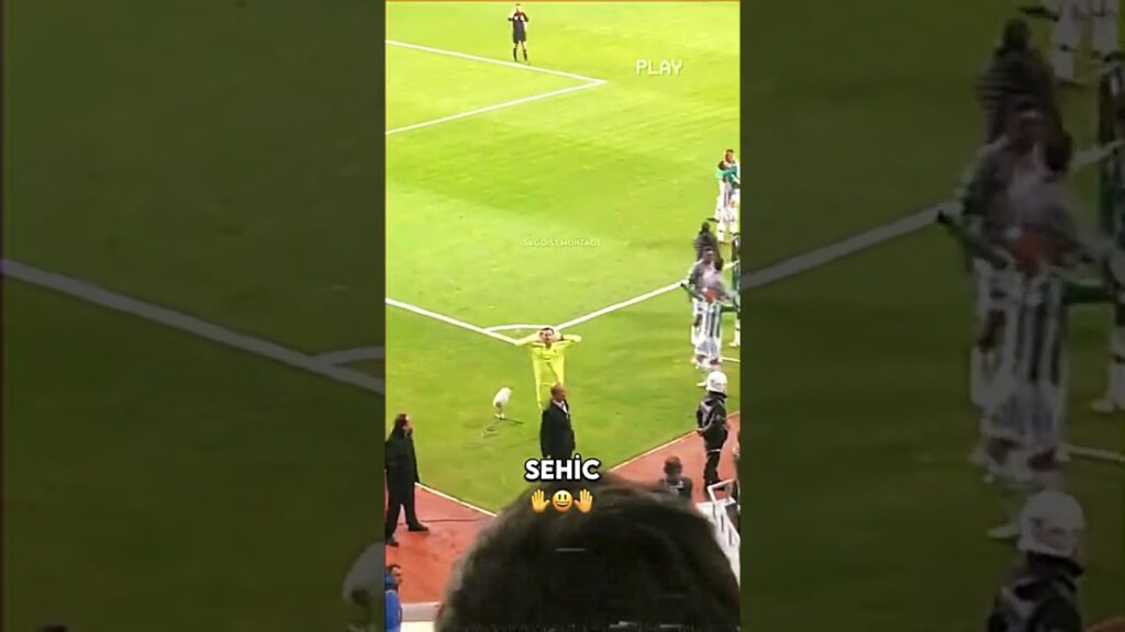 Muslera Sehic’e haddini bildiriyor 🥶