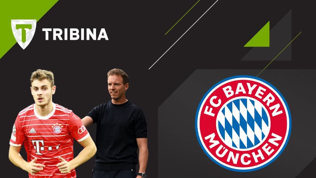 Kako je Stanišić stekao trenerovo povjerenje (kako će reprezentacija profitirati)