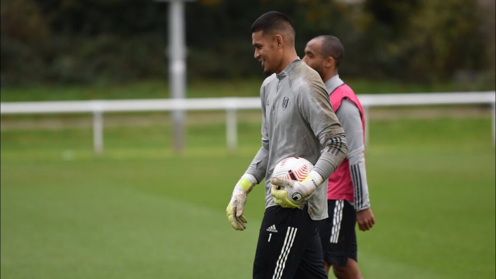 Alphonse Areola's Everton Preview