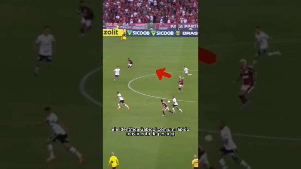 Este lance prova a GENIALIDADE do Arrascaeta!!!🔴⚫