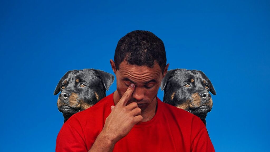 THE OTHER BRUNO FERNANDES