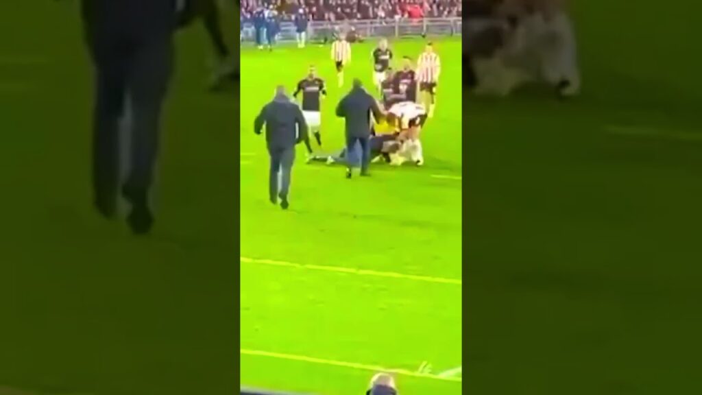 marko dmitrović fight