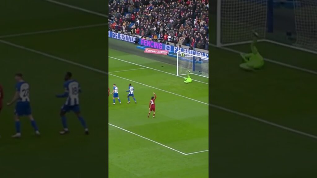 Tariq Lamptey deflected goal is insane 🤩 congrats to  #brightonandhovealbion