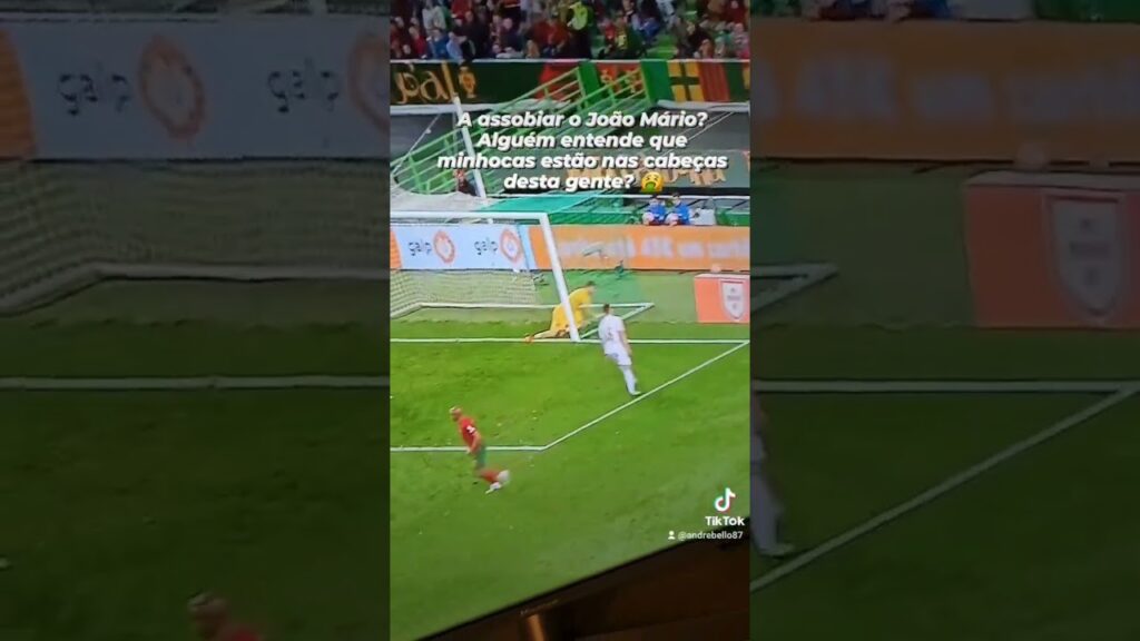 A assobiar o João Mário?  Alguém entende que minhocas estão nas cabeças desta gente? 🤮