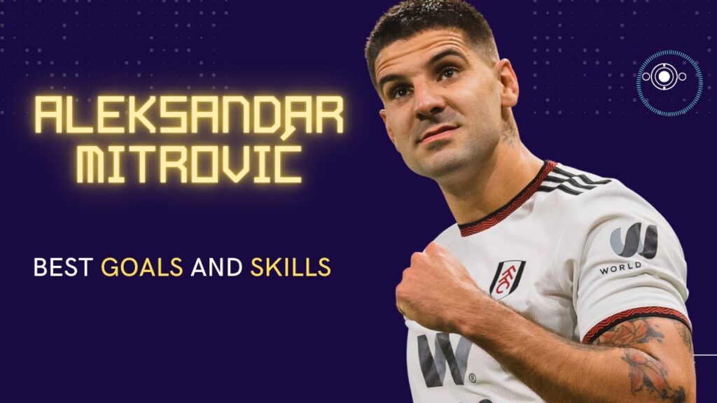 Aleksandar Mitrovic Goals Compilation