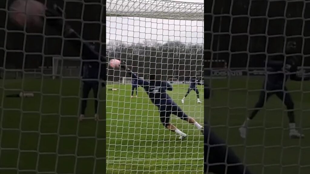 Super saves by Alphonse Areola in France national team training✈️