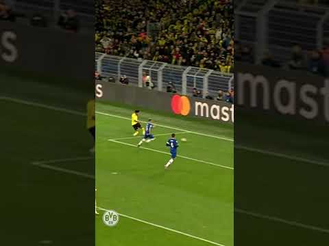 Meep, meep - Adeyemi the Roadrunner