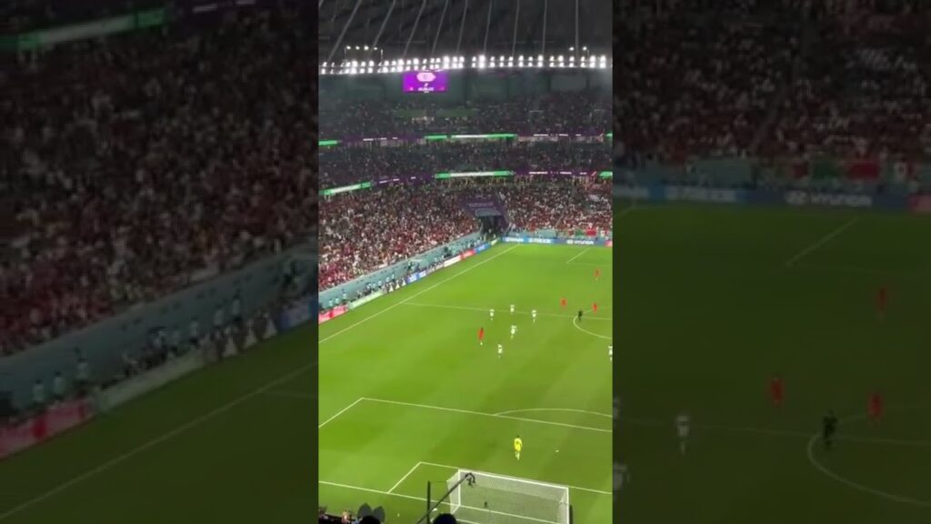 Gol De Hwang Hee-Chan Para El 2 - 1 De Corea Del Sur Vs Portugal Por La Copa Mundial Qatar 2022