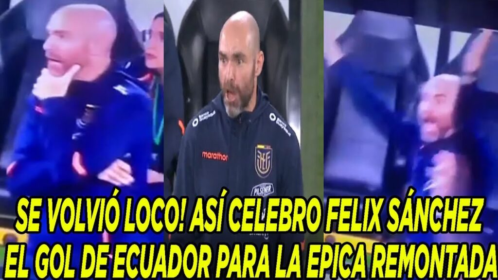 SE VOLVIÓ LOCO! ASÍ CELEBRO FELIX SÁNCHEZ EL GOL DE ECUADOR PARA LA EPICA REMONTADA SE VOLVIÓ LOCO! ASÍ CELEBRO FELIX SÁNCHEZ EL GOL DE ECUADOR PARA LA EPICA REMONTADA