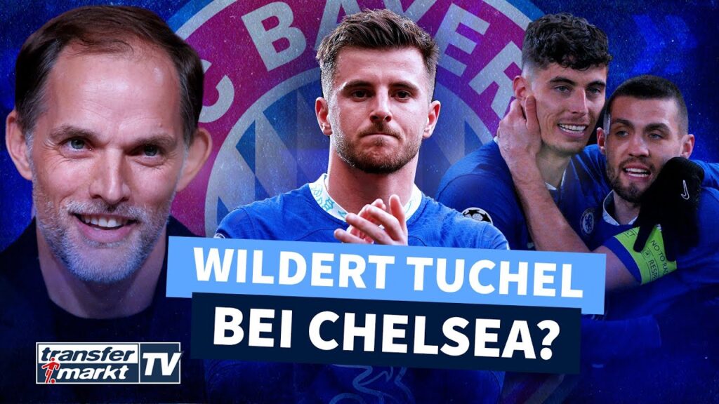 Mount, Havertz & Kovacic: Holt Tuchel Chelsea-Profis zu Bayern? | TRANSFERMARKT