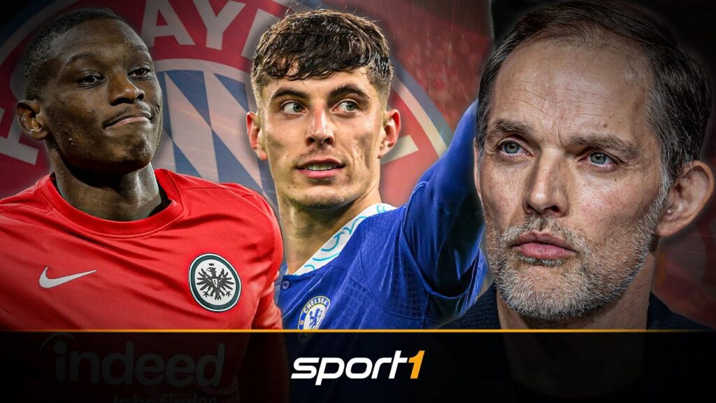 Tuchel krempelt Bayern um: So stehen die Chancen bei Havertz und Co. | SPORT1 Transfermarkt-Show