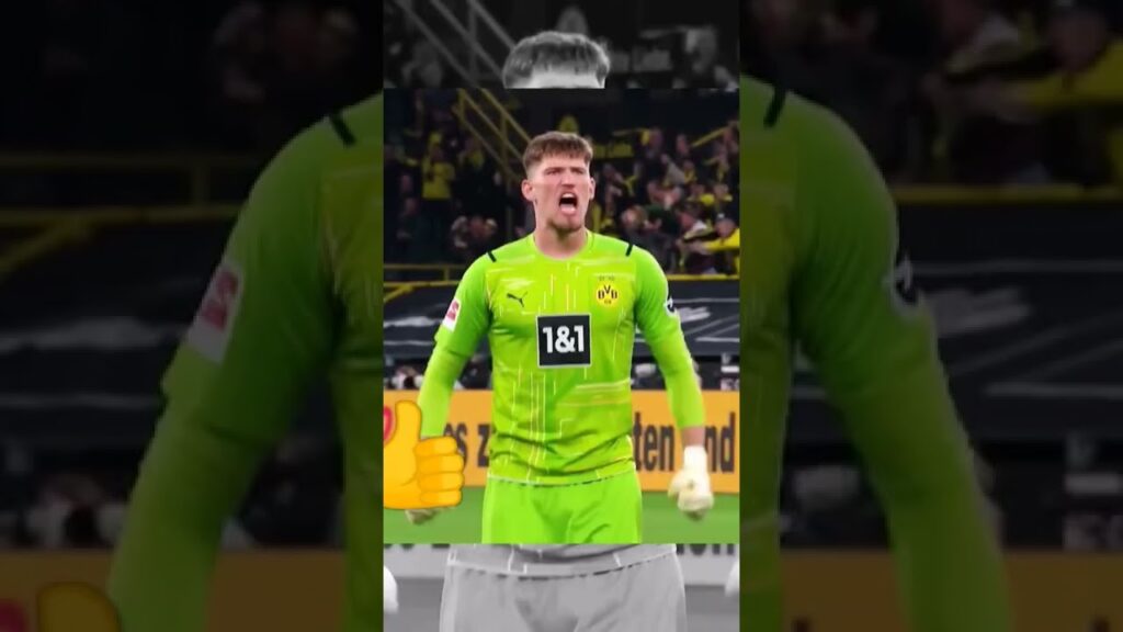 Gregor Kobel, very good at goalkeeping