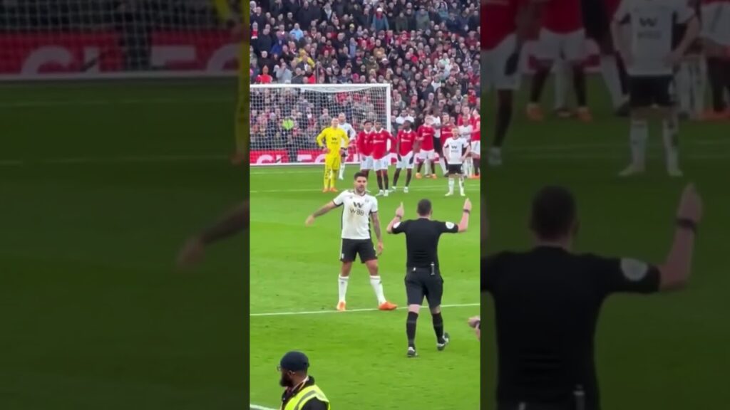 Mitrovic got sent off and Marco Silva went to referee and told him to f**k off