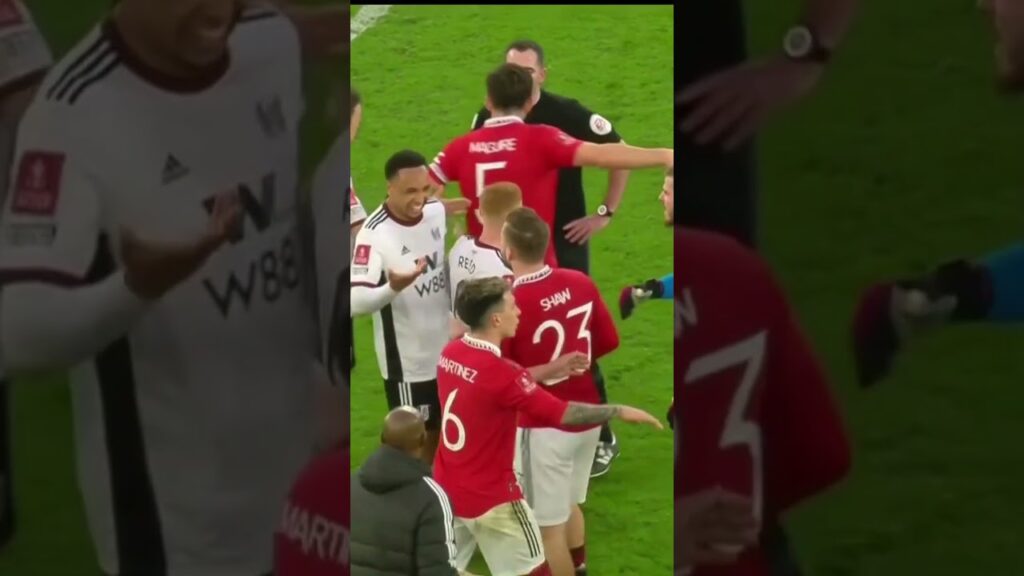 Mitrovic red card against Manchester United