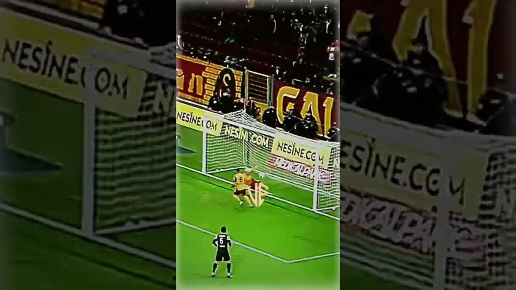 Son Anda Nelsson ✨