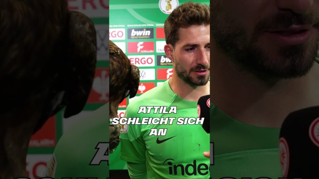 Während des Interviews! Kevin Trapp trifft alten Bekannten und freut sich 🦅 #Shorts Während des Interviews! Kevin Trapp trifft alten Bekannten und freut sich 🦅 #Shorts