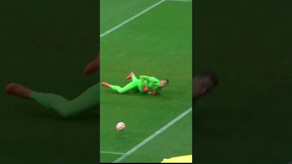 #szczęsny #poland #albania #saves #reprezentacja #shorts #goalkeeper #best #bramkarz #wojciech