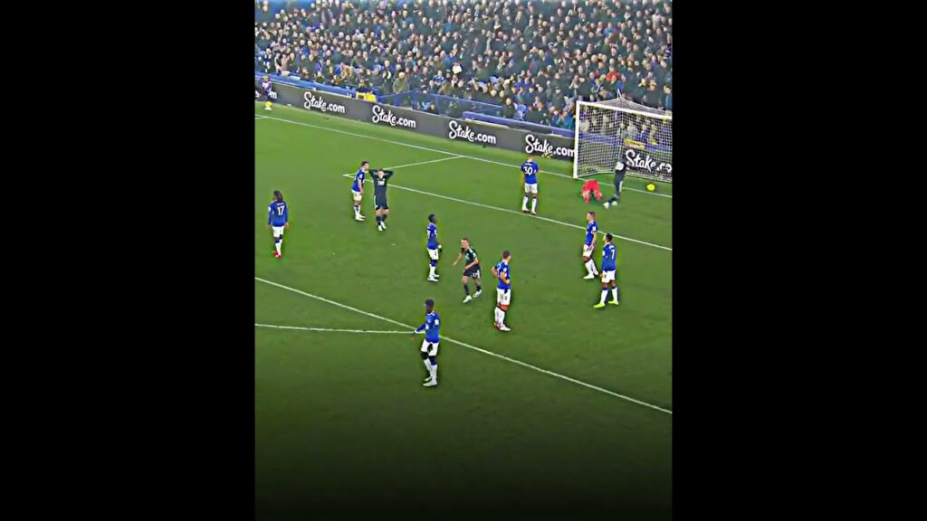 Youri Tielemans only scores bangers💯